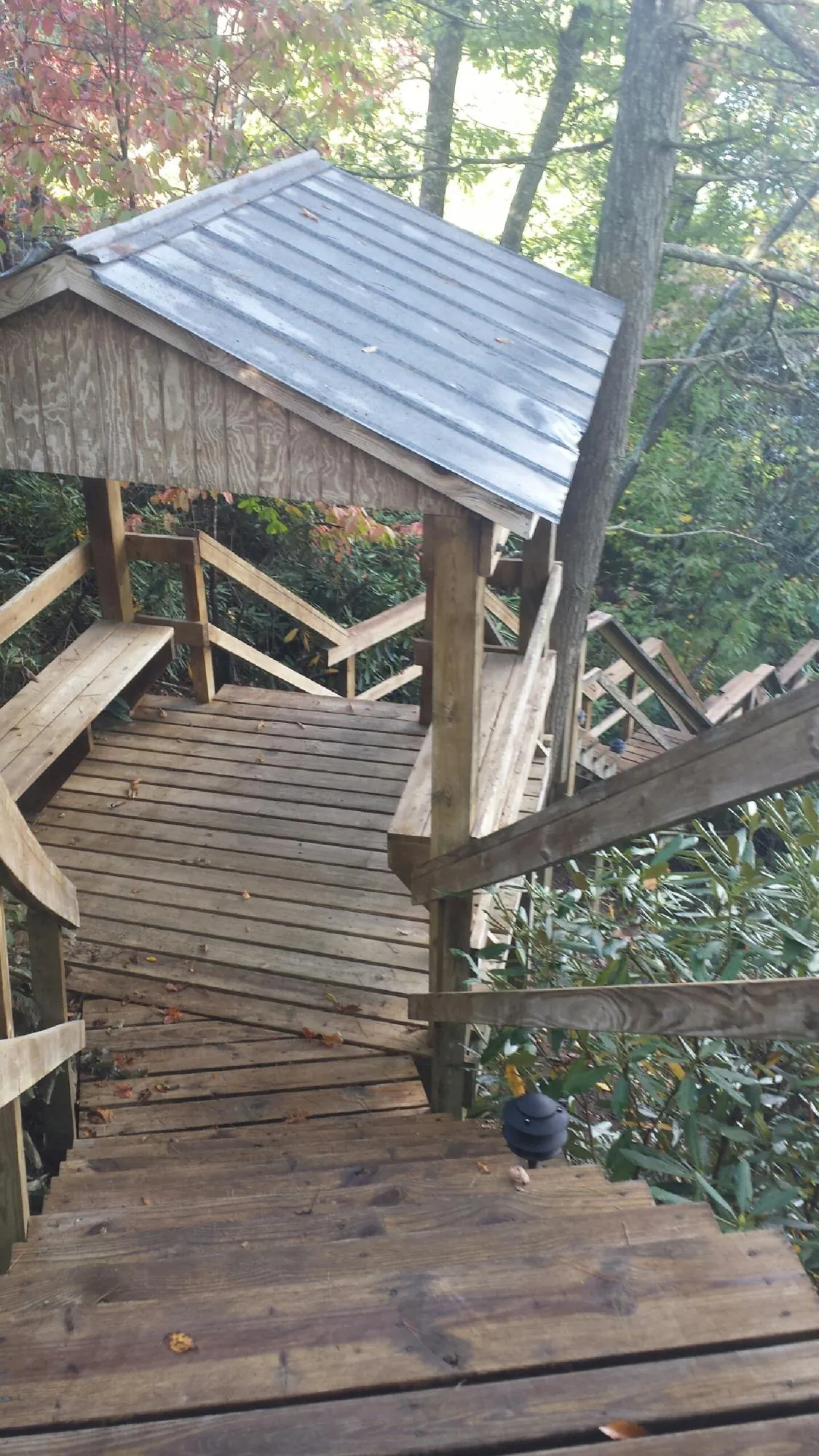 Metal roofed shelter over wooden steps on a wooded walkway — Skylight Repair & Installation work by our crew in Apex