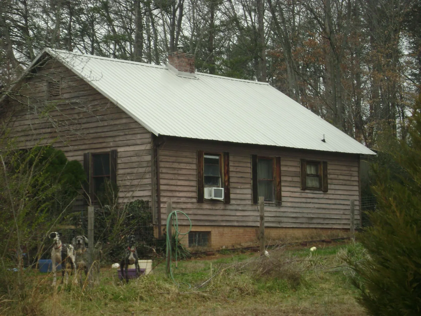 White metal roof on an old wood sided farmhouse, from a Asphalt Shingle Roof Repair job in Apex